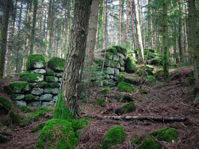 Les ruines du mur païen autour du Mont Sainte-Odile au milieu de la forêt
