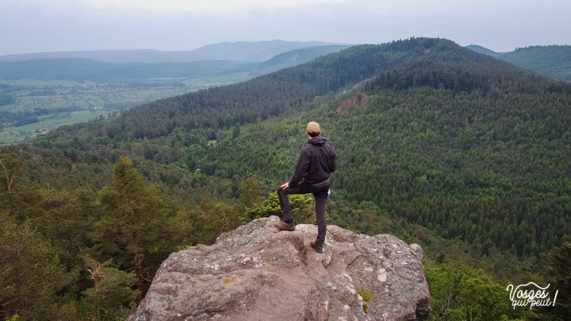 Randonneur se tenant de dos face à un panorama dans les Vosges