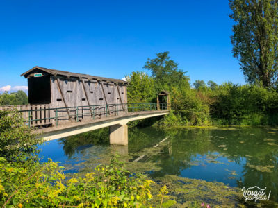 Un pont sur l'île du Rohrschollen