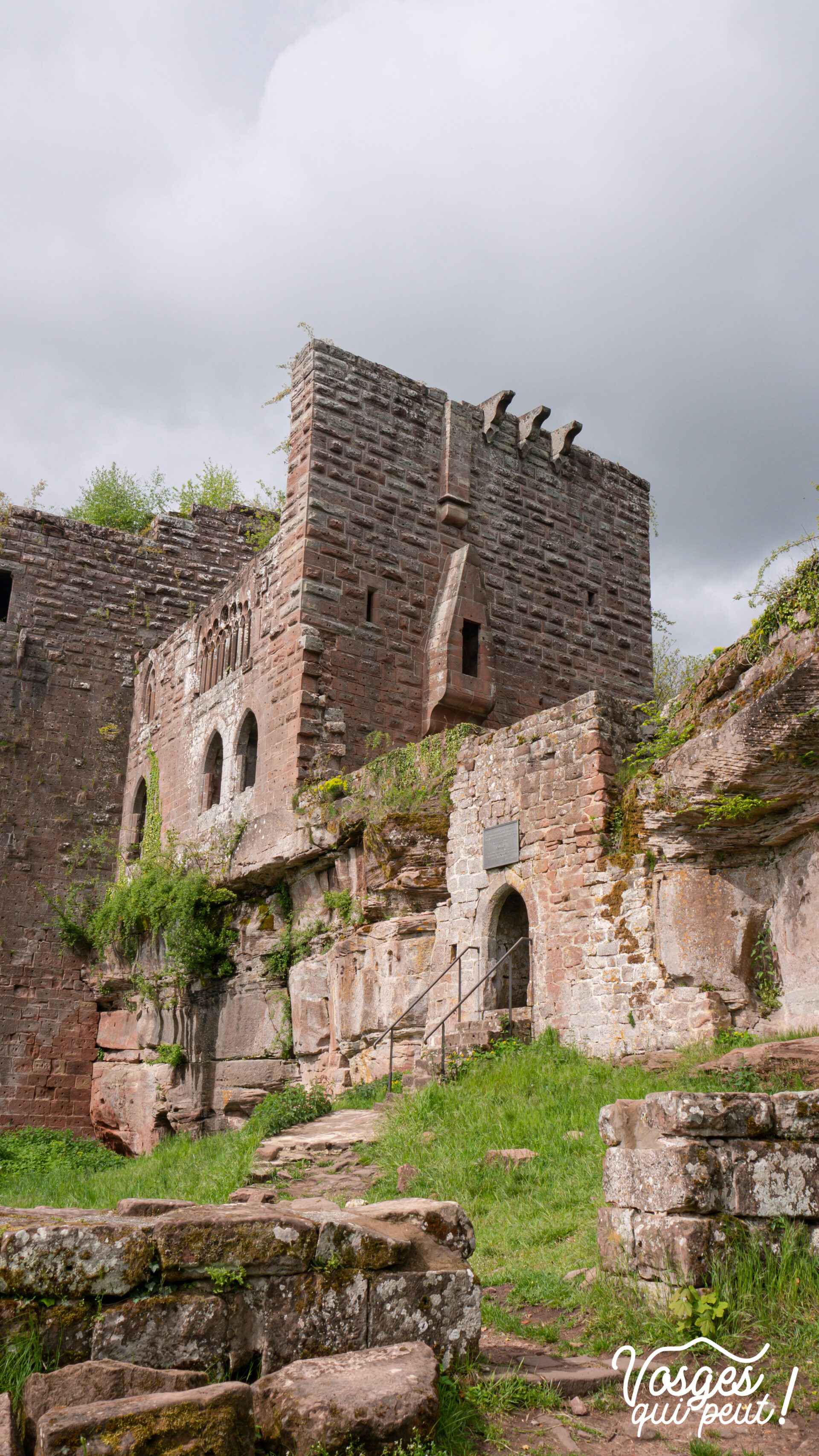 Le château du Wasenbourg dans les Vosges du Nord