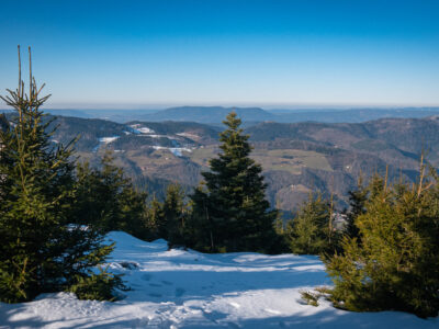 Vue depuis le Hirzberg dans le Massif des Vosges