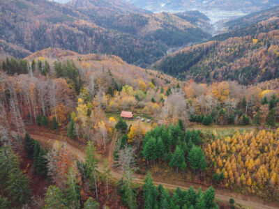 Vue aérienne sur une cabane dans le Massif des Vosges